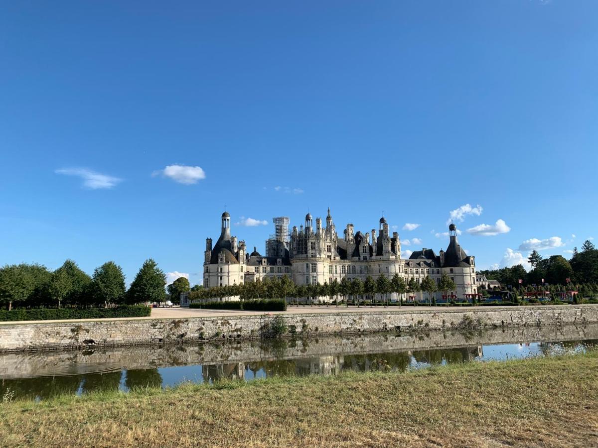 Au Coeur Des Chateaux Chambon-sur-Cisse Exterior foto